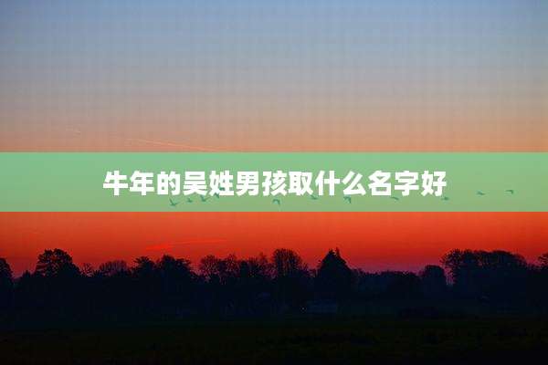 牛年的吴姓男孩取什么名字好