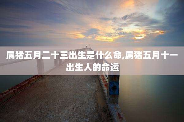 属猪五月二十三出生是什么命,属猪五月十一出生人的命运