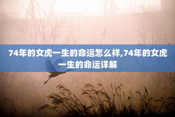 74年的女虎一生的命运怎么样,74年的女虎一生的命运详解