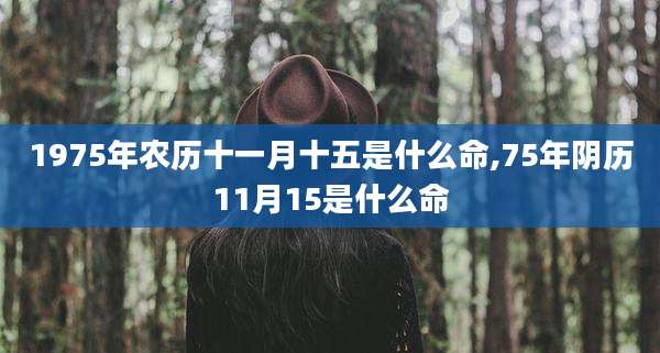 1975年农历十一月十五是什么命,75年阴历11月15是什么命