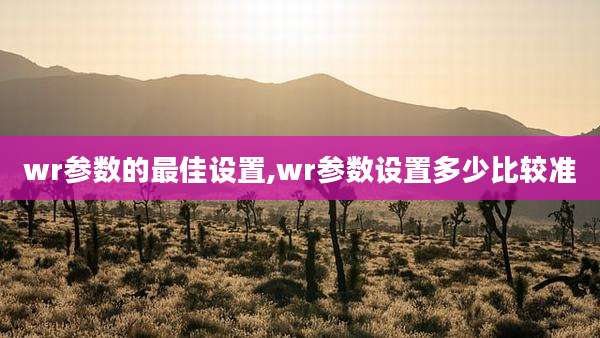 wr参数的最佳设置,wr参数设置多少比较准