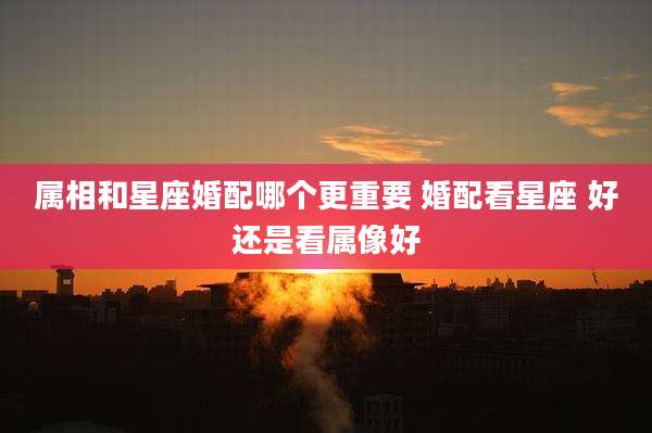 属相和星座婚配哪个更重要 婚配看星座 好还是看属像好