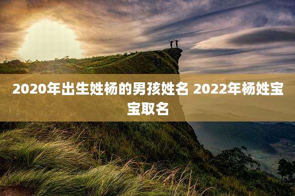 2020年出生姓杨的男孩姓名 2022年杨姓宝宝取名