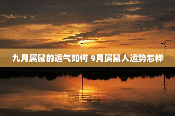 九月属鼠的运气如何 9月属鼠人运势怎样