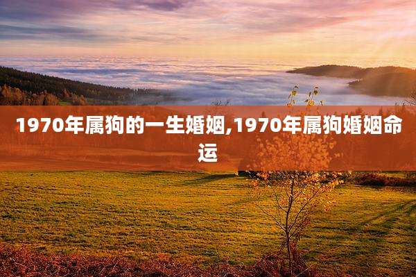 1970年属狗的一生婚姻,1970年属狗婚姻命运