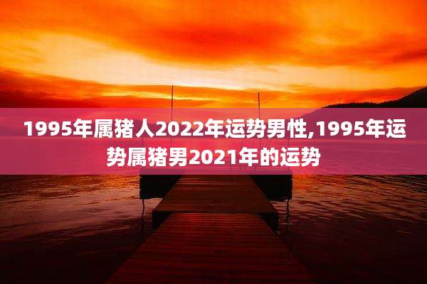 1995年属猪人2022年运势男性,1995年运势属猪男2021年的运势
