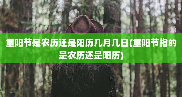 重阳节是农历还是阳历几月几日(重阳节指的是农历还是阳历)
