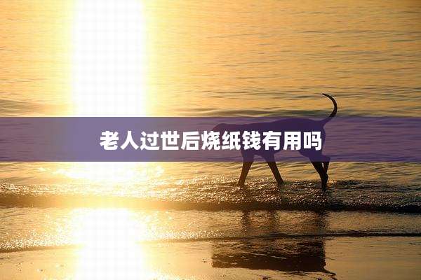 老人过世后烧纸钱有用吗