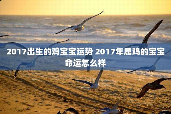 2017出生的鸡宝宝运势 2017年属鸡的宝宝命运怎么样