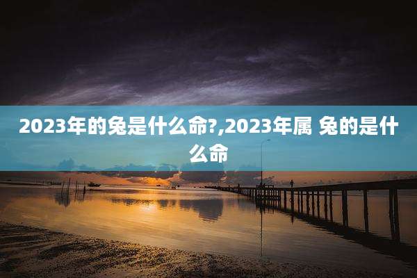 2023年的兔是什么命?,2023年属 兔的是什么命