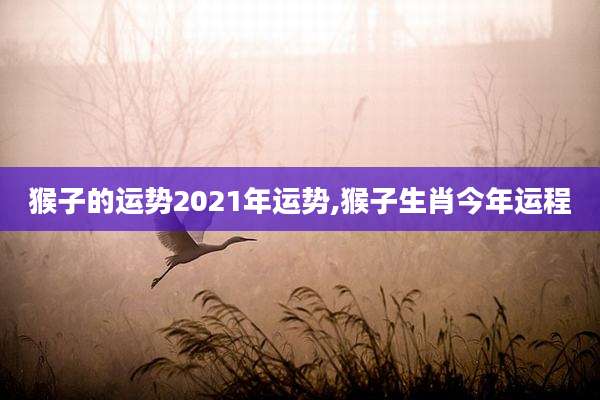 猴子的运势2021年运势,猴子生肖今年运程