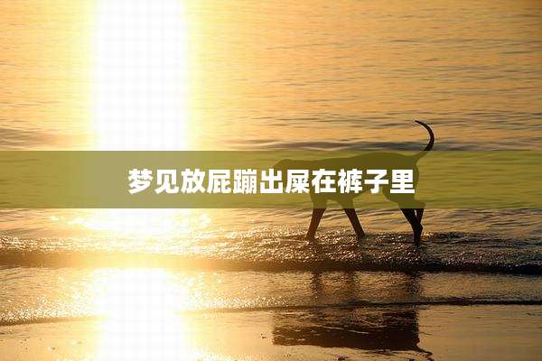 梦见放屁蹦出屎在裤子里