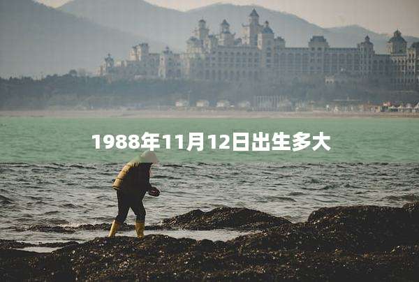1988年11月12日出生多大