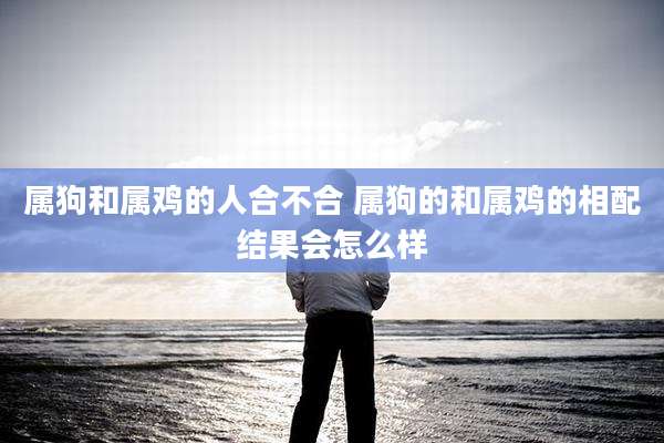 属狗和属鸡的人合不合 属狗的和属鸡的相配结果会怎么样