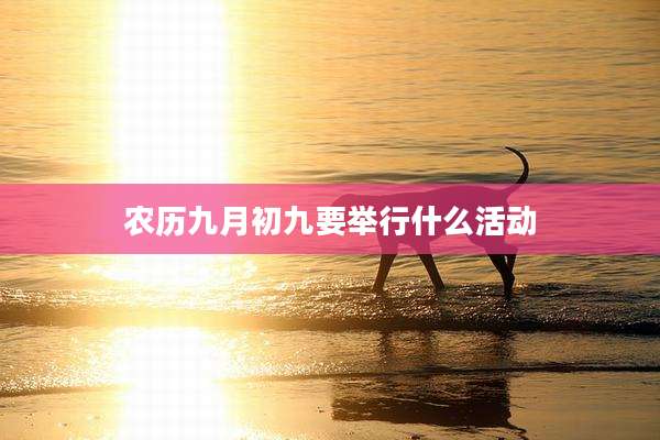 农历九月初九要举行什么活动