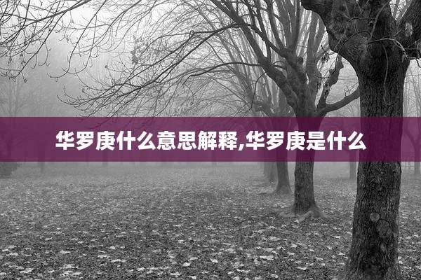 华罗庚什么意思解释,华罗庚是什么