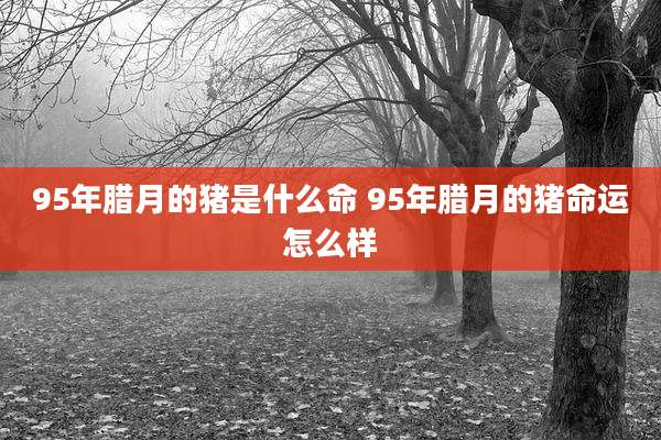 95年腊月的猪是什么命 95年腊月的猪命运怎么样