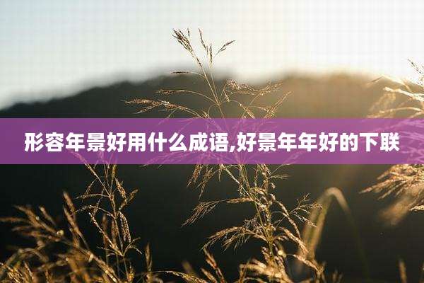 形容年景好用什么成语,好景年年好的下联