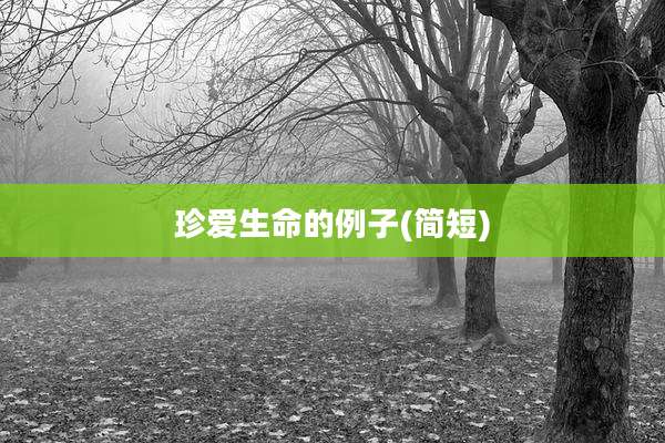 珍爱生命的例子(简短)