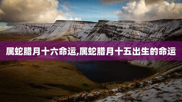 属蛇腊月十六命运,属蛇腊月十五出生的命运