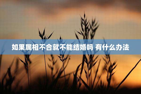 如果属相不合就不能结婚吗 有什么办法