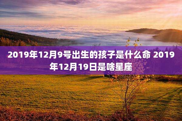 2019年12月9号出生的孩子是什么命 2019年12月19日是啥星座
