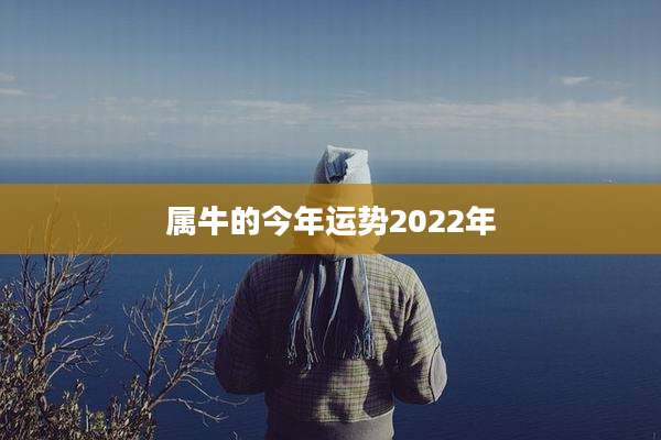 属牛的今年运势2022年