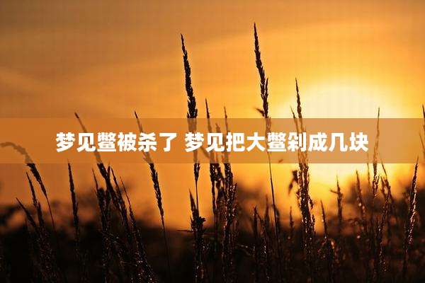 梦见鳖被杀了 梦见把大鳖剁成几块
