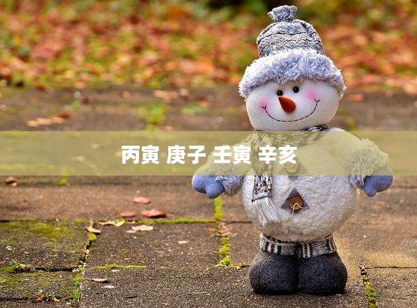 丙寅 庚子 壬寅 辛亥