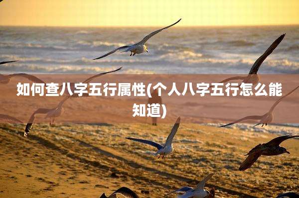 如何查八字五行属性(个人八字五行怎么能知道)