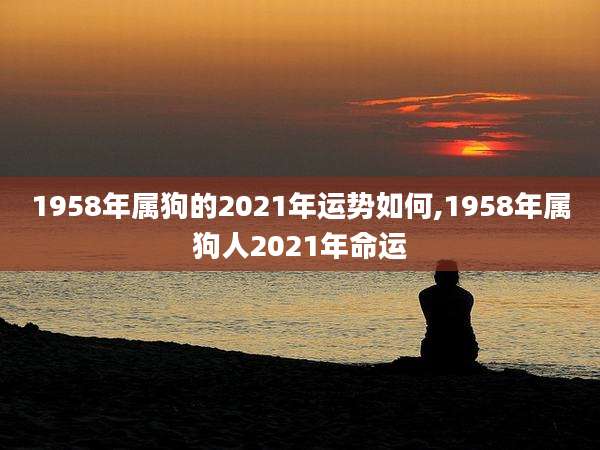 1958年属狗的2021年运势如何,1958年属狗人2021年命运