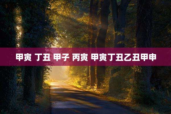 甲寅 丁丑 甲子 丙寅 甲寅丁丑乙丑甲申