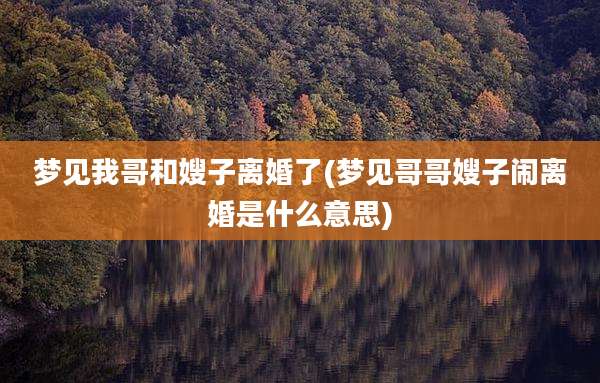 梦见我哥和嫂子离婚了(梦见哥哥嫂子闹离婚是什么意思)