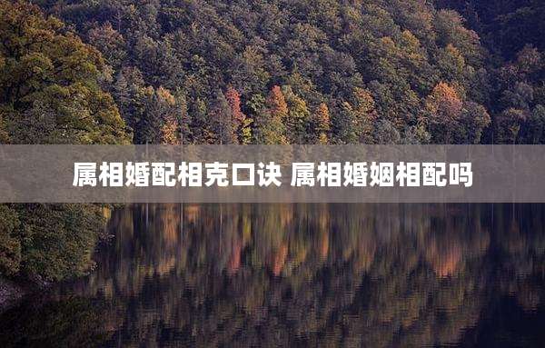 属相婚配相克口诀 属相婚姻相配吗