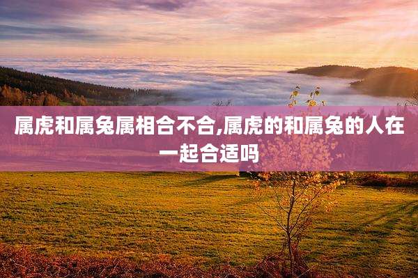 属虎和属兔属相合不合,属虎的和属兔的人在一起合适吗