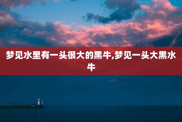 梦见水里有一头很大的黑牛,梦见一头大黑水牛