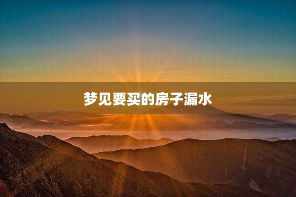 梦见要买的房子漏水