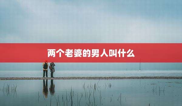 两个老婆的男人叫什么