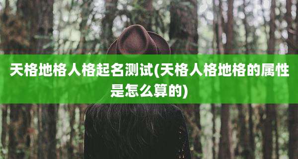 天格地格人格起名测试(天格人格地格的属性是怎么算的)