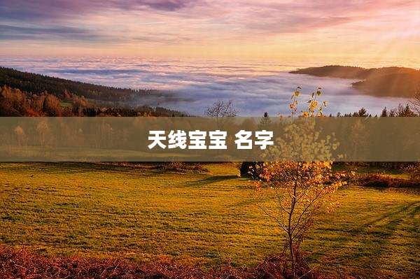天线宝宝 名字