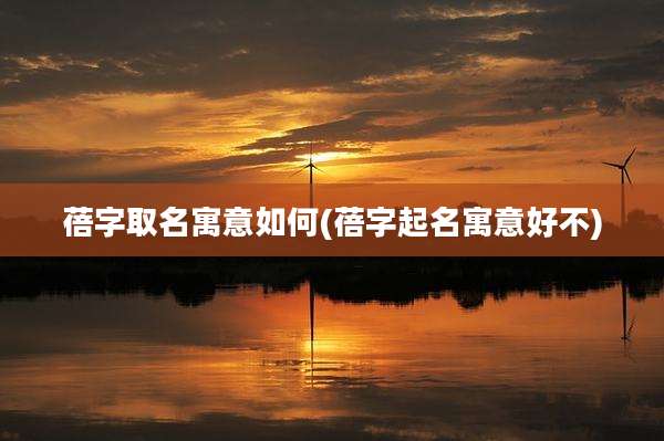 蓓字取名寓意如何(蓓字起名寓意好不)