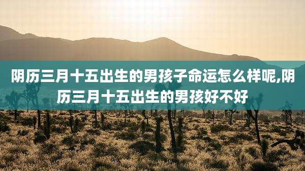 阴历三月十五出生的男孩子命运怎么样呢,阴历三月十五出生的男孩好不好