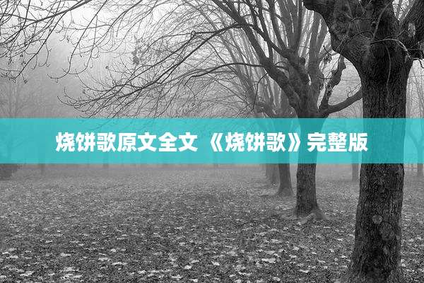 烧饼歌原文全文 《烧饼歌》完整版