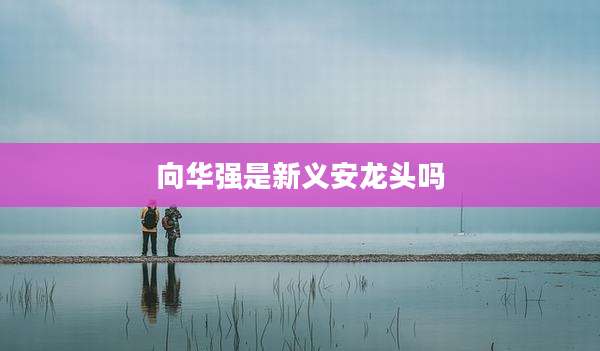 向华强是新义安龙头吗