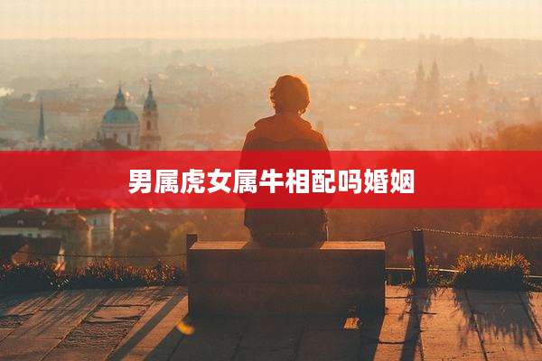 男属虎女属牛相配吗婚姻