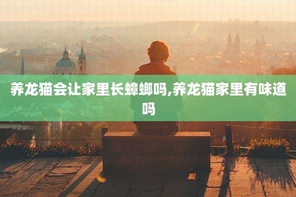 养龙猫会让家里长蟑螂吗,养龙猫家里有味道吗