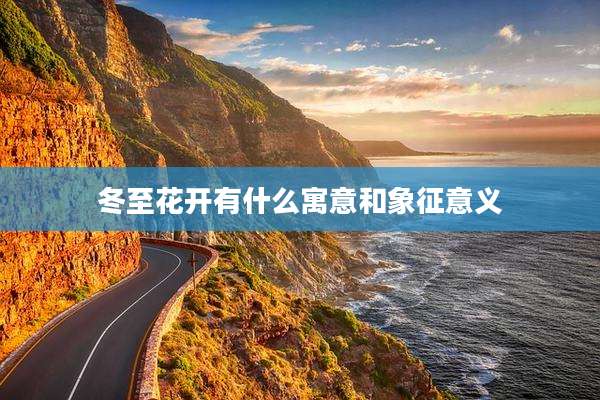 冬至花开有什么寓意和象征意义
