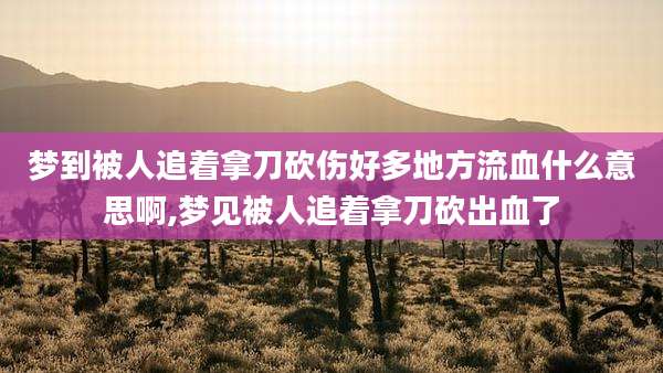 梦到被人追着拿刀砍伤好多地方流血什么意思啊,梦见被人追着拿刀砍出血了