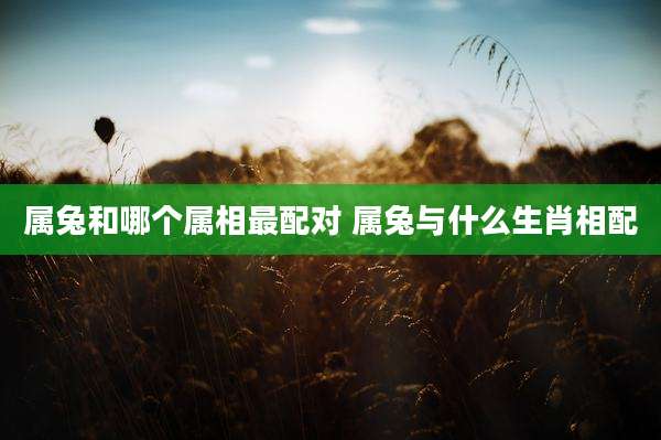 属兔和哪个属相最配对 属兔与什么生肖相配