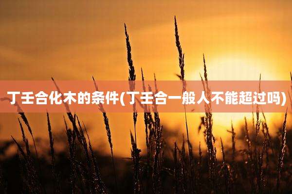 丁壬合化木的条件(丁壬合一般人不能超过吗)
